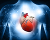 La stimulation de la branche gauche entraînerait une activation ventriculaire plus physiologique chez les insuffisants cardiaques avec BBG
