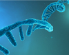 Moderna et Pfizer BioNTech s'affrontent sur la paternité de l'ARN messager