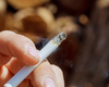 Canada gaat gezondheidswaarschuwing op elke afzonderlijke sigaret plaatsen
