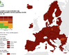 La carte de l'Europe se pare de rouge foncé, illustrant la montée des contaminations
