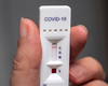 Les tests rapides peuvent être utilisés pour détecter les variants du coronavirus
