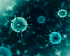 Les concentrations du virus de la grippe augmentent dans les eaux usées de Louvain