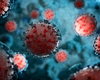 Les vaccins à ARNm contre le Covid-19, une aide dans le traitement des cancers?