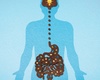 Comment une alimentation trop riche réduit la cognition