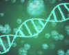 Vaststellen aantal kankers en zwangerschapscomplicaties kan via onderzoek DNA