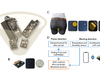 Un «slip intelligent» pour surveiller le microbiote intestinal en continu