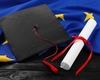 Belgische universiteiten nemen deel aan pilootprojecten voor Europese diploma's