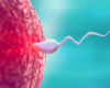 L’IA au service de la fertilité : un couple conçoit après 18 ans d’infertilité grâce à une technologie inédite