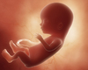 Nog voor geboorte hebben baby's al roet in longen en hersenen (UHasselt)