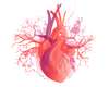 Journée de Cardiologie pour le médecin généraliste et spécialiste - 23 mars 2024 (Bruxelles)