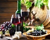 Un biomarqueur objective l’association entre la consommation modérée de vin et la protection cardiovasculaire