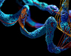 Un groupe de protéines responsable de la maladie de Charcot, selon des chercheurs