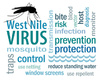 Virus du Nil occidental: une maladie de plus en plus présente chez nous!