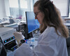 Cancer de l’ovaire : des fragments de tumeur pour tester la réponse aux traitements