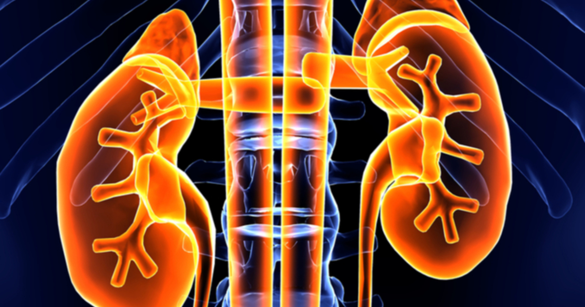 Reimbursement for Early Kidney Damage Urine Tests Starts in September - News Directory 3