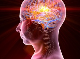 Le NPAR, un biomarqueur pronostique simple pour l’AVC occlusif aigu