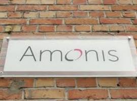 Amonis: alleen een goednieuwsshow?