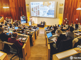 Best Bone Papers 2026: vers une ostéologie stratégique, séquentielle et intégrative