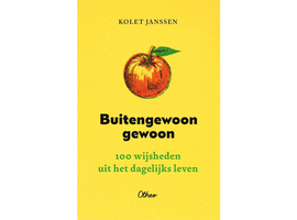 Buitengewoon gewoon: 100 wijsheden uit het dagelijks leven