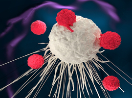 Thérapie par cellules CAR-T dans le myélome multiple