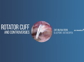 Rotator cuff and controversies 