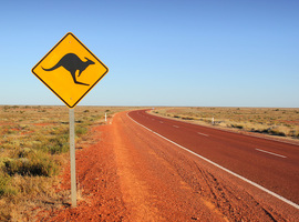 Vlaanderen gaat tot in Australië op zoek naar verplegers