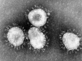 Coronavirus - Al meer besmettingen dan SARS-epidemie