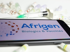 Zuid-Afrikaans bedrijf vindt sneller dan verwacht formule voor patentloos vaccin