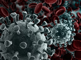 Le coronavirus a emporté 6 millions de vies, selon l'Université américaine Johns Hopkins