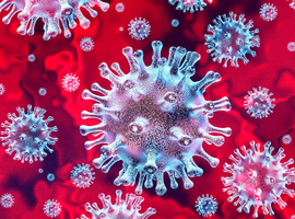 Sluiten scholen hielp minst tegen verspreiding coronavirus in Nederland