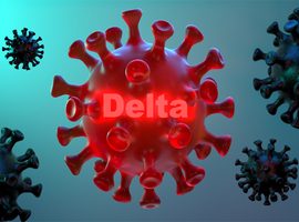 L'OMS surveille un sous-variant du variant Delta du coronavirus