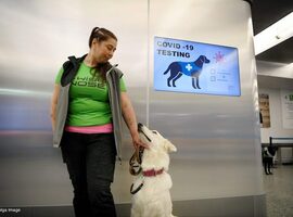 La Task Force Testing renonce à l'utilisation de chiens de détection