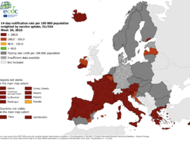 Bruxelles et la Flandre repassent au rouge foncé sur la carte de l'ECDC
