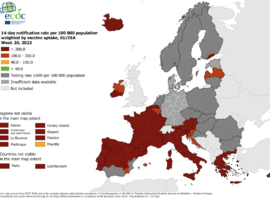 La Belgique repasse en orange sur la carte de l'ECDC