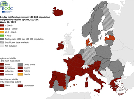 La Wallonie de retour en rouge foncé sur la carte de l'ECDC