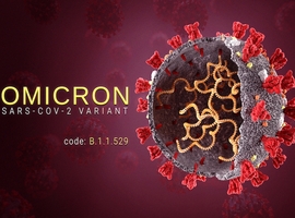 Omicron va faire sortir le Covid-19 de la phase pandémique, estime l'EMA