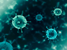 Une banque de virus créée pour mieux se protéger contre les prochaines pandémies