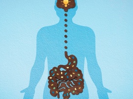 Signaturen van het darmmicrobioom bij idiopathische hydrocefalie met normale druk