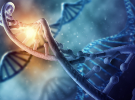 Bepaling van circulerend tumoraal DNA bij de beslissing tot adjuvante behandeling bij colonkanker in stadium II