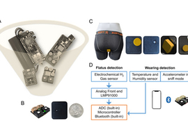 Un «slip intelligent» pour surveiller le microbiote intestinal en continu