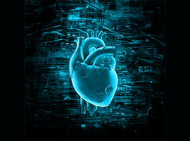 4D-scan toont artsen virtueel hoe hart reageert op nieuwe hartklep
