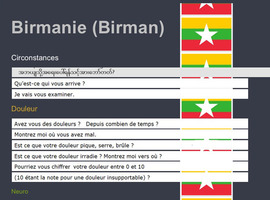 TraLELHo : une traduction d’urgence en ligne  pour interroger le patient étranger