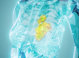 Van vroegtijdige opsporing tot innovatieve behandelingen: ESMO Breast 2026 zet het op een rijtje