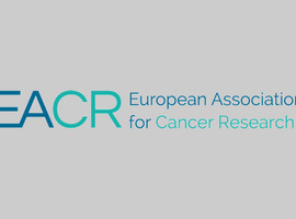 Belgian Association for Cancer Research, annual meeting: Novel combination strategies for cancer treatment