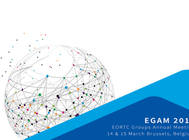 EORTC Groups Annual Meeting