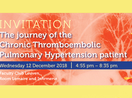 The journey of the Chronic Thromboembolic Pulmonary Hypertension patient