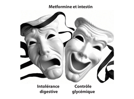 Metformine et intestin:  Dr Jekyll et Mr Hyde