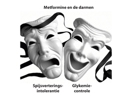 Metformine en de darmen:  Dr. Jekyll en Mr. Hyde