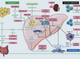 NASH/NAFLD: une épidémie mondiale annoncée…