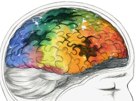 Onderzoekers VIB-KU Leuven vinden nieuwe piste om ziekte van Alzheimer te voorkomen